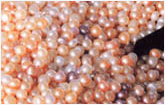 pearl-grading-loose