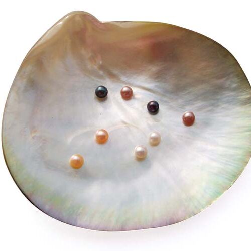 White, Pink, Mauve and Black 3-4mm AAA Quality Button Pearl, Half Drilled