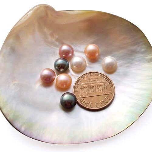 White, Pink, Mauve and Black 7-8mm AAA Graded Button Pearl , Half Drilled