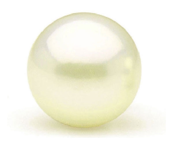 14mm Huge White AA+ Button Pearls, Half-Drilled