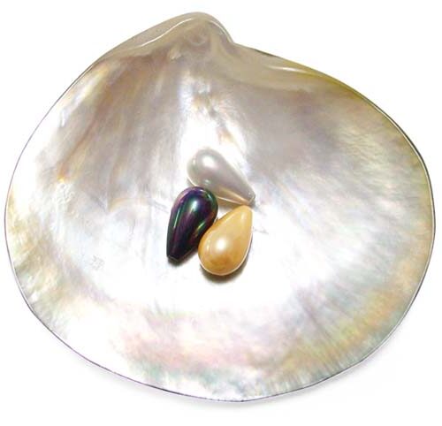 Black, White and Apricot 8x14mm Drop Shaped SSS Pearl, Half Drilled