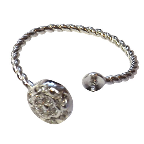 Silver Adjustable Ring Mounting