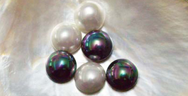 10mm Shell Pearls