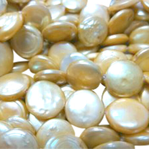 Large 13-14mm AA Round Champagne Coin Pearl Strands