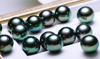 Loose Tahitian Pearls