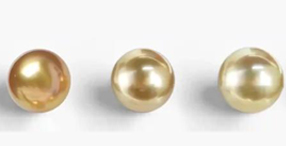 south sea pearl colors