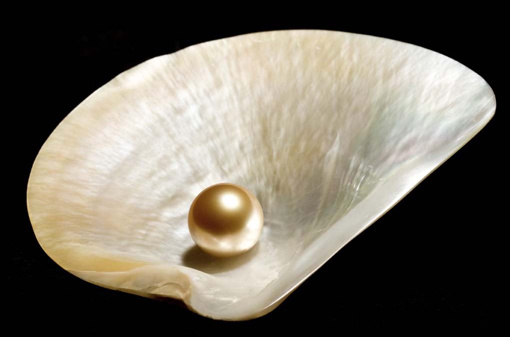 Freshwater Pearls Process & Production
