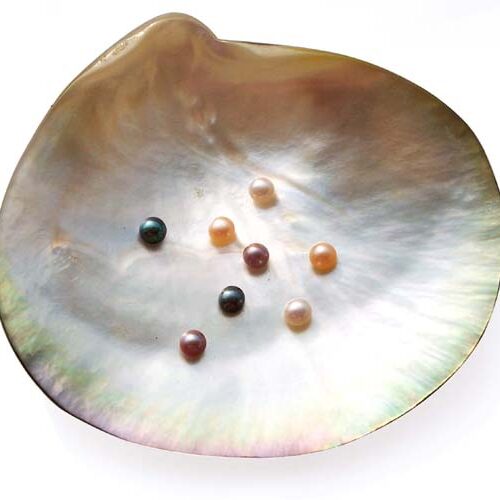 White, Pink, Mauve, Chocolate and Black 4-5mm AAA Quality Button Pearl , Half Drilled