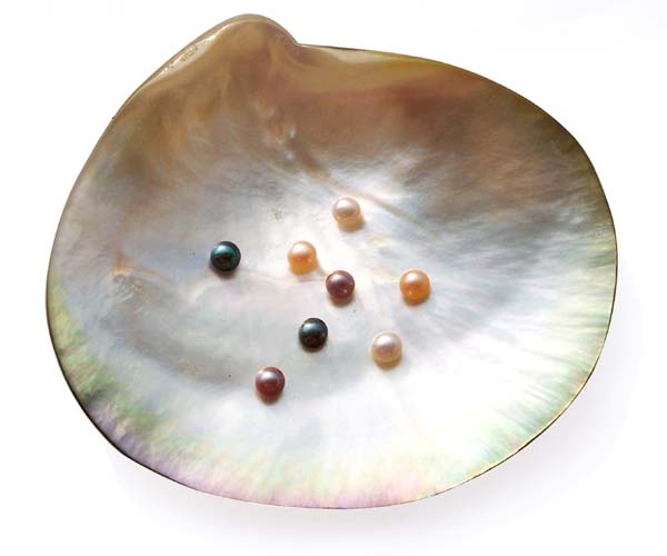 White, Pink, Mauve, Chocolate and Black 4-5mm AAA Quality Button Pearl , Half Drilled