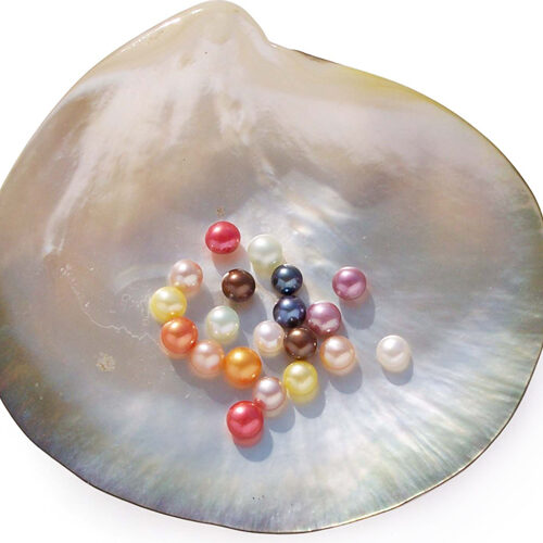 Purple, Pink, White, Red, Mauve, Black, Orange, Yellow, Light Green and Chocolate 4-5mm Half-Drilled AA Button Pearl