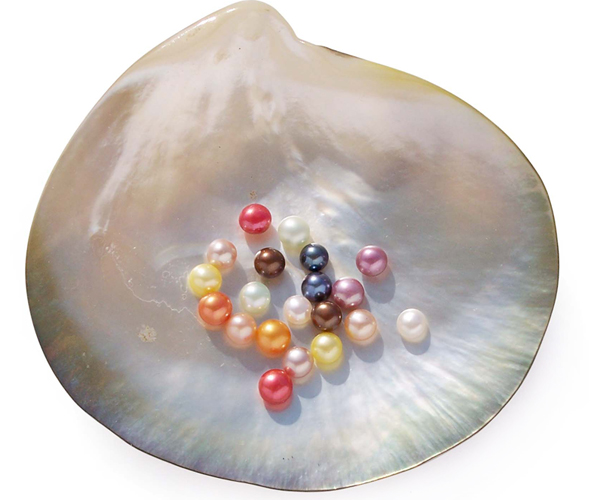 Purple, Pink, White, Red, Mauve, Black, Orange, Yellow, Light Green and Chocolate 4-5mm Half-Drilled AA Button Pearl
