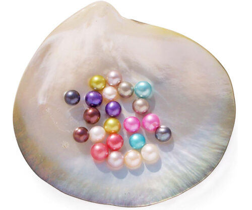 Pink, White, Mauve, Black, Hot Pink, Turquoise, Orchid, Olive Green, Chocolate and Grey 5-6mm Half-Drilled AA Button Pearl