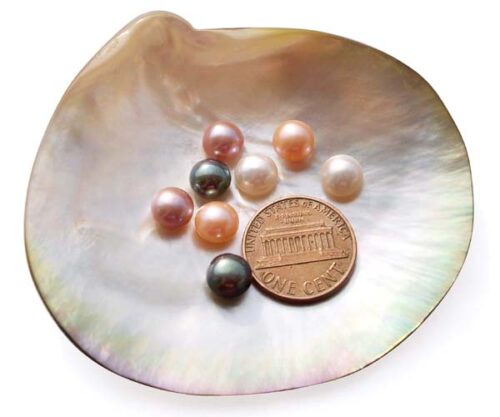 White, Pink, Mauve and Black 7-8mm AAA Graded Button Pearl , Half Drilled