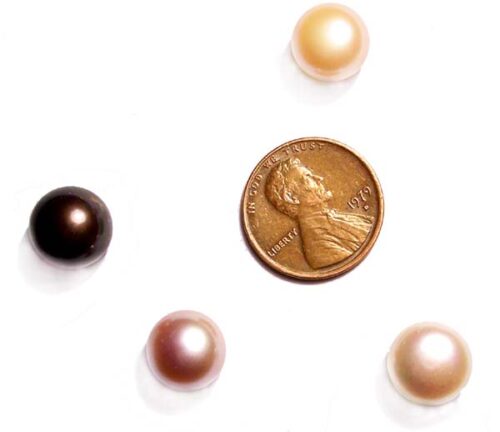 White, Pink, Mauve and Black 8-9mm AAA Quality Button Pearl, Half Drilled