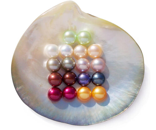 Light Green, White, Grey, Chocolate, Cranberry, Pink, Mauve, Black and Gold 8-9mm AA Quality Loose Button Pearls, Half Drilled