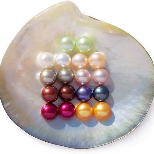 Light Green, White, Grey, Chocolate, Cranberry, Pink, Mauve, Black and Gold 8-9mm AA Quality Loose Button Pearls, Half Drilled
