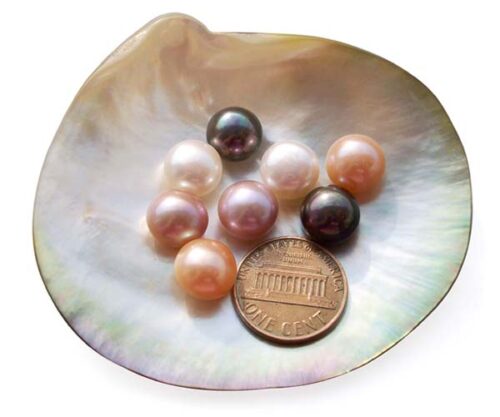 White, Pink, Mauve and Black 10-11mm AAA Quality Button Pearl