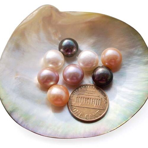 White, Pink, Mauve and Black 10-11mm AAA Quality Button Pearl