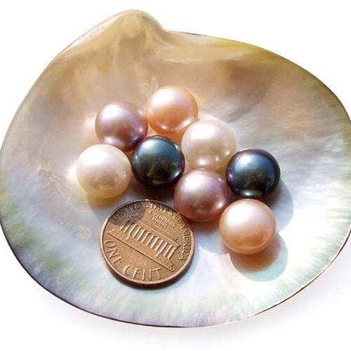 White, Pink, Mauve and Black 11-12mm AAA Quality Dome Shaped Button Pearls in Half Drilled