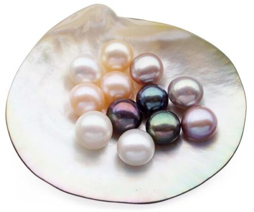Pink, White, Lavender and Black 11-12mm AA Quality Button Pearl Half Drilled