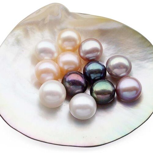 Pink, White, Lavender and Black 11-12mm AA Quality Button Pearl Half Drilled
