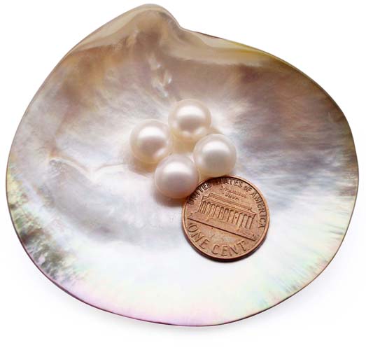 White 9-9.5mm Loose AAA Round Pearl, Undrilled or Half Drilled