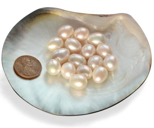 White Drop Pearls Sold by Ounce