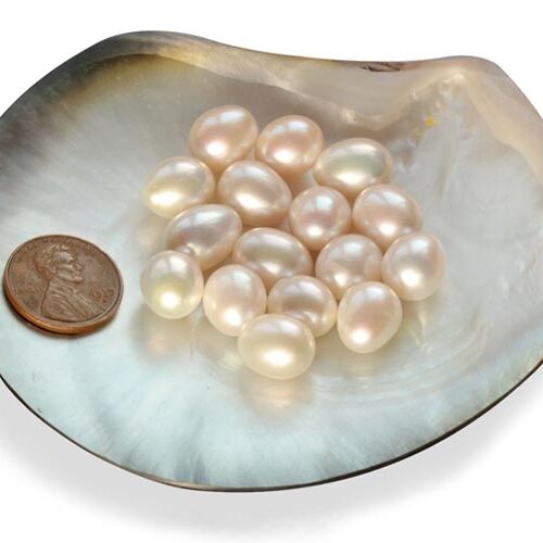10-11mm Loose White Drop Pearls Sold by Ounce