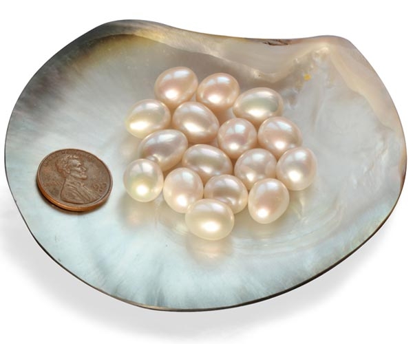 10-11mm Loose White Drop Pearls Sold by Ounce