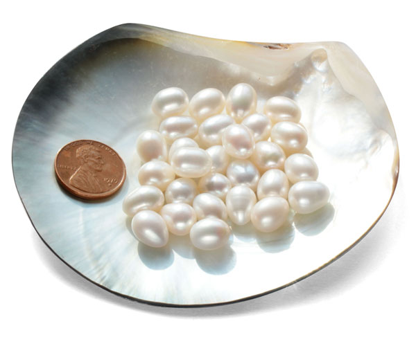 Loose Drop Pearls Sold by Ounce