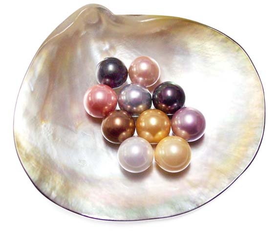 White, Pale Pink, Mauve, Peacock Black, Gold, Champagne, Grey, Chocolate, Peacock Green and Tahitian Grey 10mm Round AAAA Southsea Shell Pearls, Half Drilled