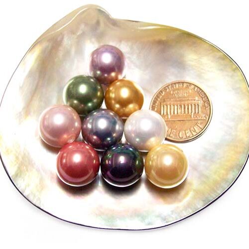 Cranberry, White, Peacock Black, Gold, Champagne, Grey, Peacock Green, Rose Pink, Pale Pink, Mauve, Chocolate, and Tahitian Black 12mm Round AAAA Southsea Shell Pearls, Half Drilled