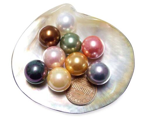 White, Peacock Black, Gold, Grey, Peacock Green, Rose Pink, Pale Pink, Chocolate and Tahitian Black 14mm Round AAAA SSS Pearl, Half Drilled