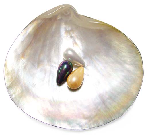 Black, White and Apricot 8x14mm Drop Shaped SSS Pearl, Half Drilled