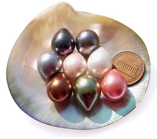 Grey, Black, Pink, Chocolate, White, Baby Pink and Peacock Green 13x16mm Drop Shaped SSS Pearl, Half Drilled