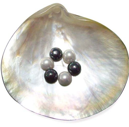 White and Black 8mm Mabe Shaped SSS Pearls, Half-drilled