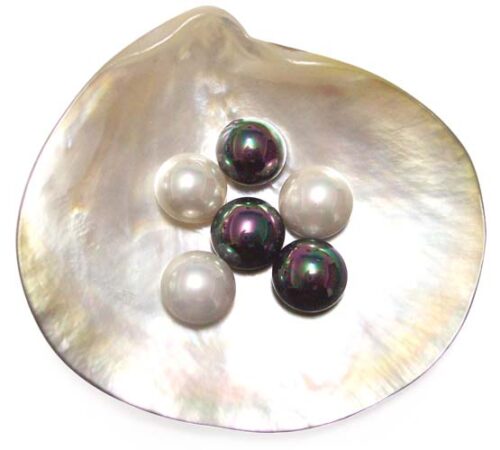 Black and White 12mm Mabe Shaped SSS Pearls, Half-drilled