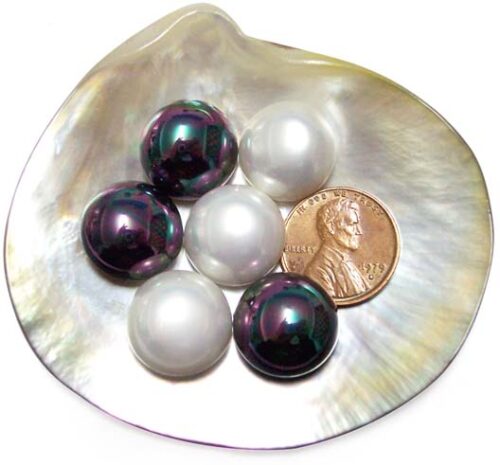 Black and White 14mm Mabe Shaped Southsea Shell Pearls, Half-drilled