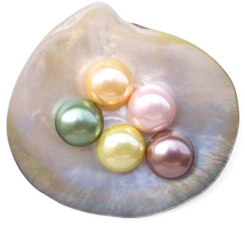 Mauve, Apricot, Peacock Green, Lemon Yellow and Light Pink 16mm Mabe Shaped Southsea Shell Pearls, Half-drilled