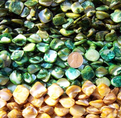 Olive Green, Dark Green and Dark Golden Rod Irregular Mother of Pearl on Temporary Strands