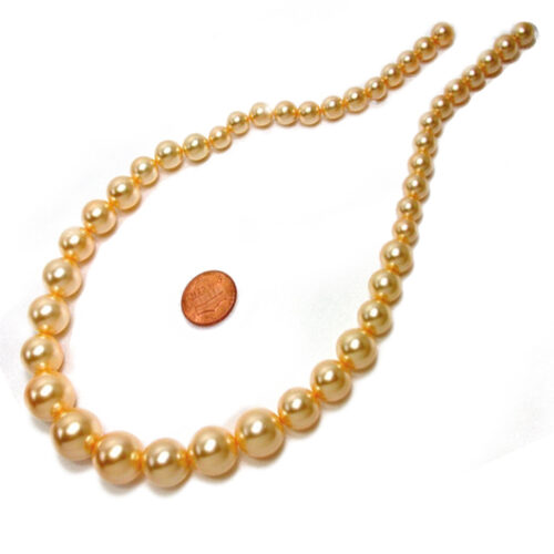 Graduated Golden Southsea Shell Pearls on Loose Strands