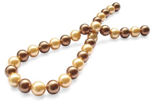 Champagne/Chocolate 12mm Southsea Shell Pearl Strand