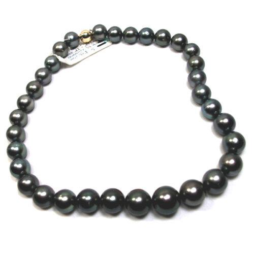 12-14mm Round Black Tahitian South Sea Pearl Necklace 14KY Gold Clasp