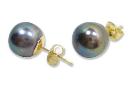 Black 9-9.5mm AAA Pearl Earrings 14K Solid YG
