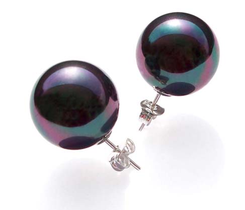 Black 8mm to 14mm Southsea Shell Pearl 925 Sterling Silver Studs Earrings