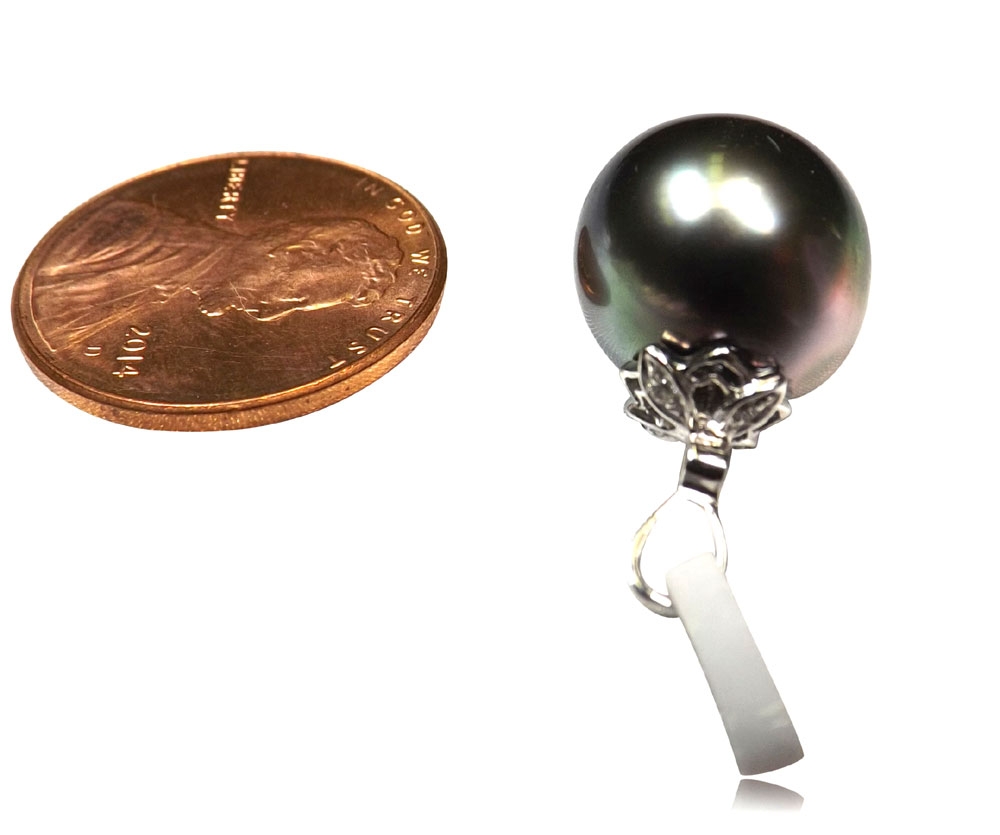 11.5mm Tahitian Peacock Black Pearl Pendant in 14k White Gold