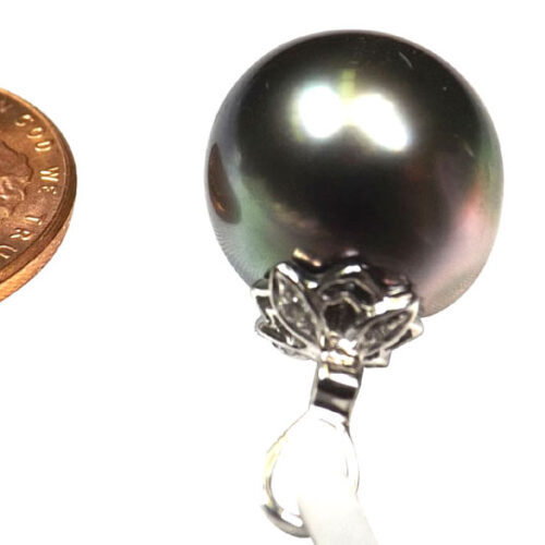 11.5mm Tahitian Peacock Black Pearl Pendant in 14k White Gold