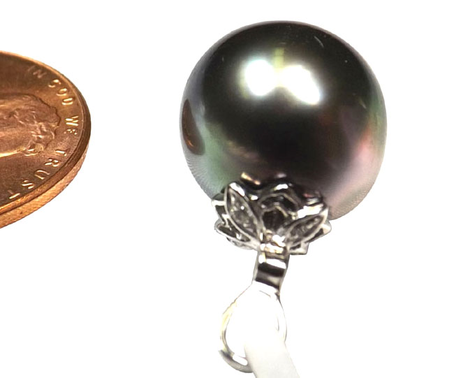 11.5mm Tahitian Peacock Black Pearl Pendant in 14k White Gold