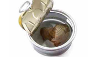 Live Pearls in Oysters Can
