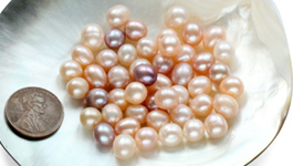 Drop Pearls by Ounce